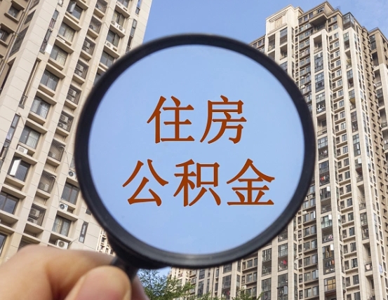 桓台退休后查不到公积金明细了吗（退休后公积金查询不到原因）